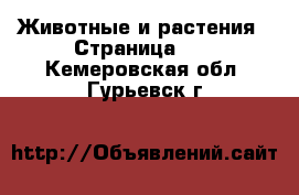  Животные и растения - Страница 16 . Кемеровская обл.,Гурьевск г.